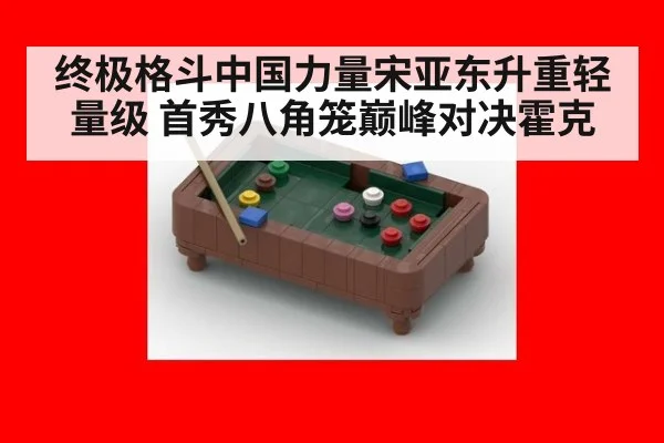 终极格斗中国力量宋亚东升重轻量级 首秀八角笼巅峰对决霍克